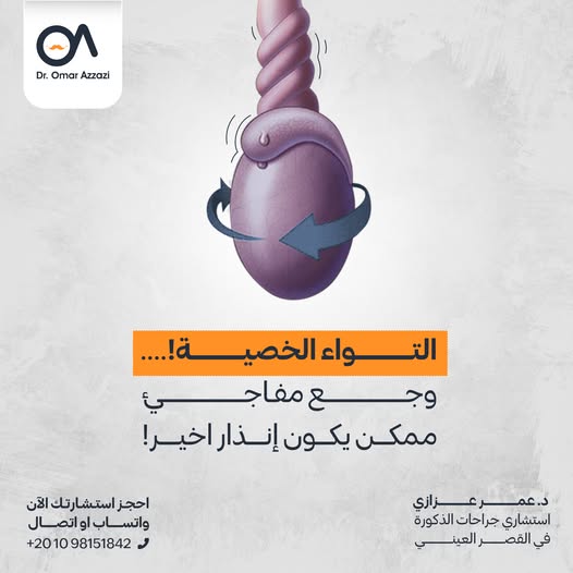 499932944 122119443542824034 8910492645441322277 n