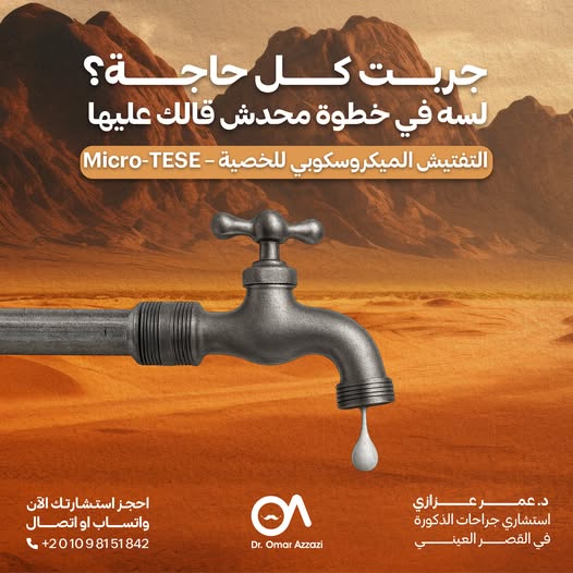 506123303 122125170866824034 9017838233481899113 n